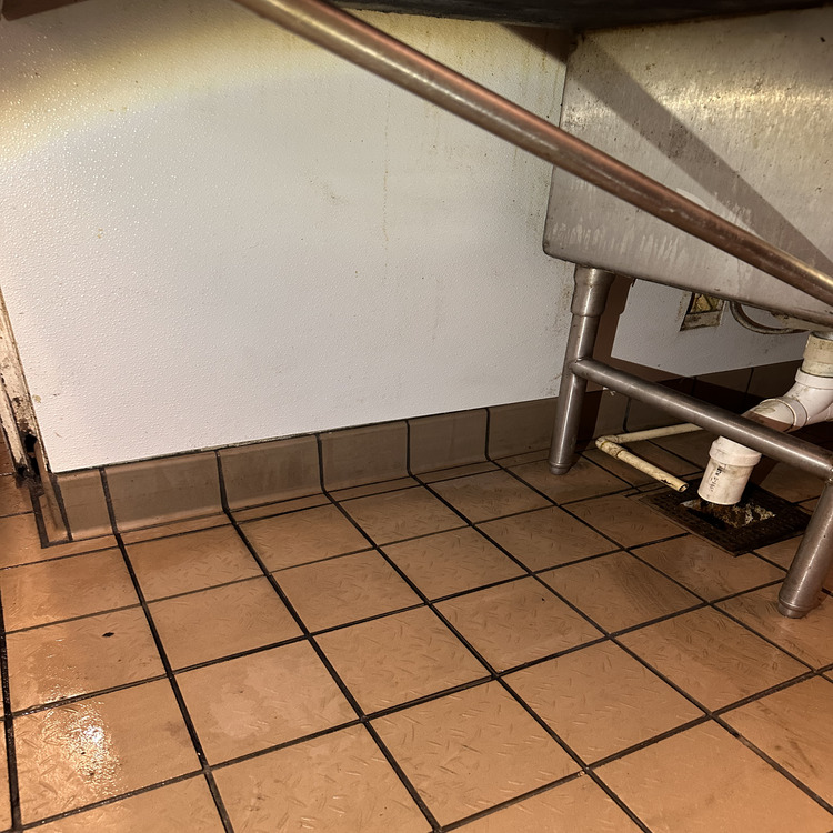 Commercial Steam Cleaning in Jacksonville, FL Commercial Steam Cleaning in Jacksonville, FL