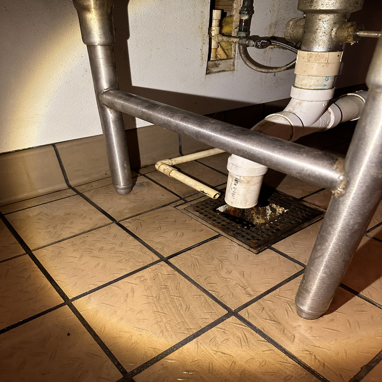 Commercial Steam Cleaning in Jacksonville, FL