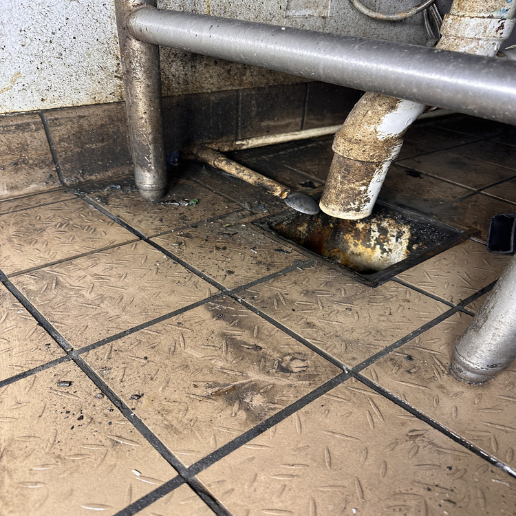 Commercial Steam Cleaning in Jacksonville, FL