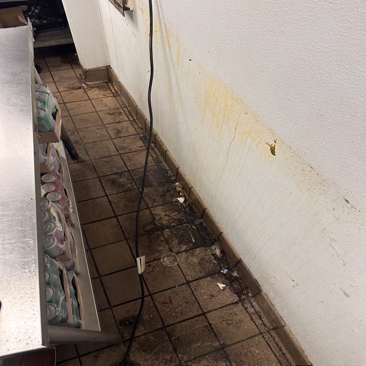 Commercial Steam Cleaning in Jacksonville, FL