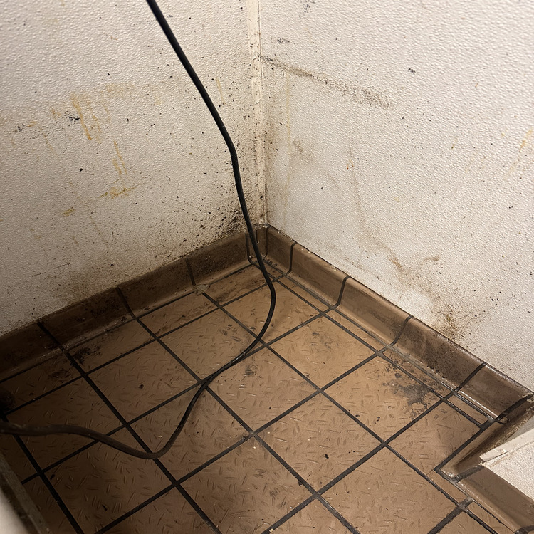 Commercial Steam Cleaning in Jacksonville, FL