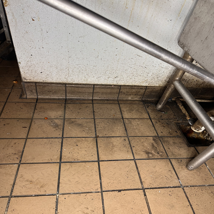 Commercial Steam Cleaning in Jacksonville, FL Commercial Steam Cleaning in Jacksonville, FL